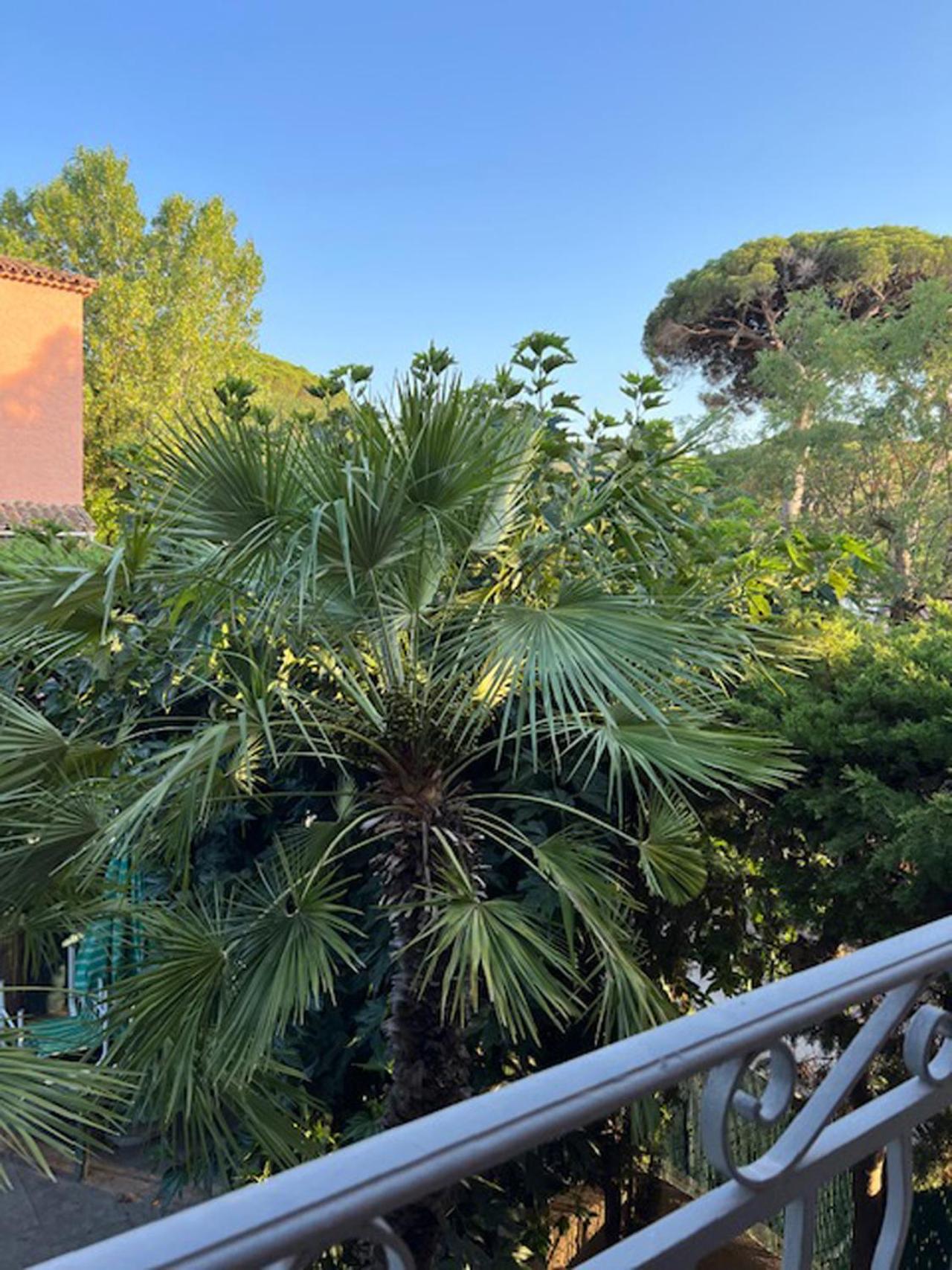 Superbe Appartement Terrasse Et Parking Prive Saint-Tropez Exterior foto